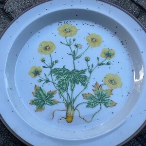 VTG NIB FieldDaisy Plate Set of 6 Made In Japan